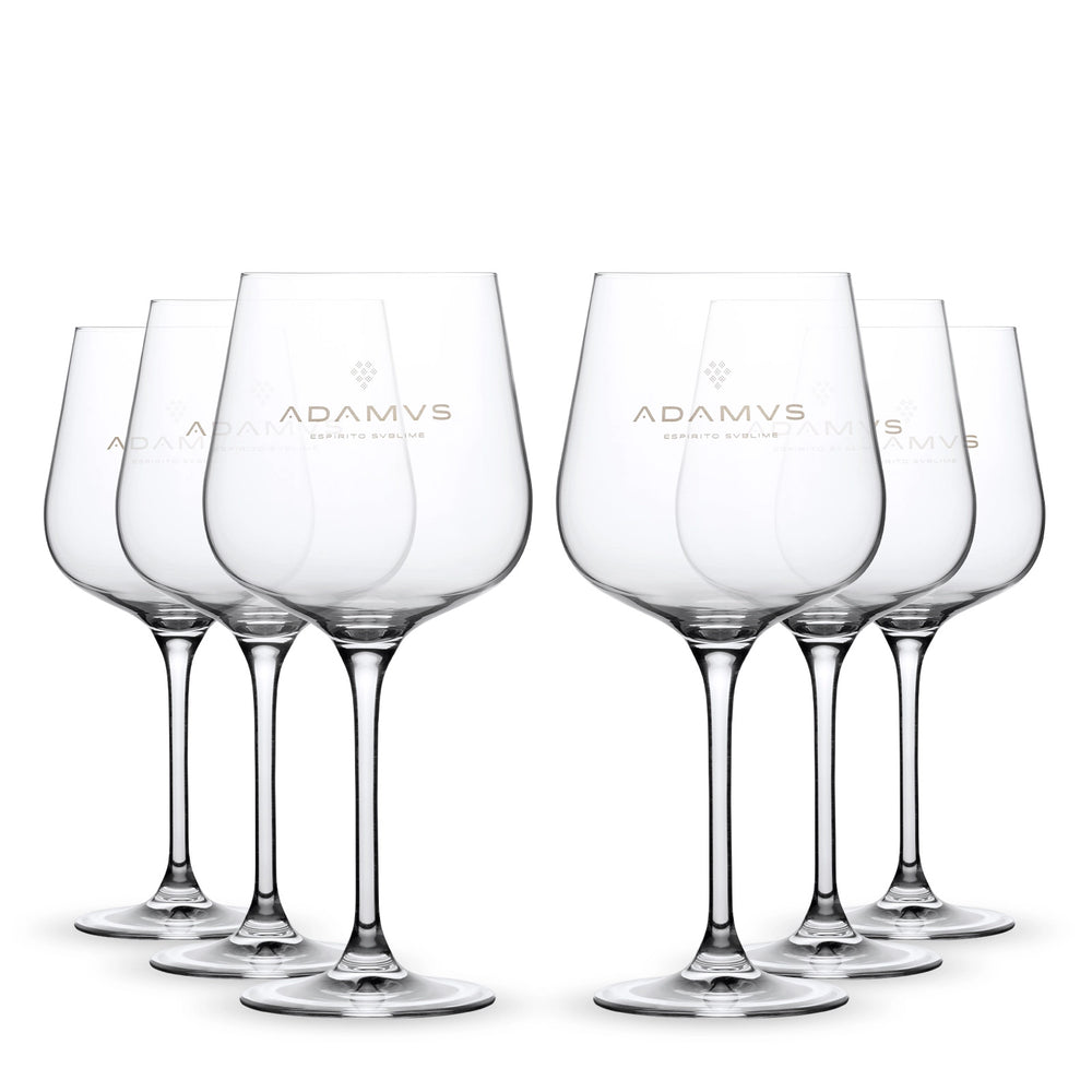 Pack of 6 Adamus Organic Dry Gin Glass