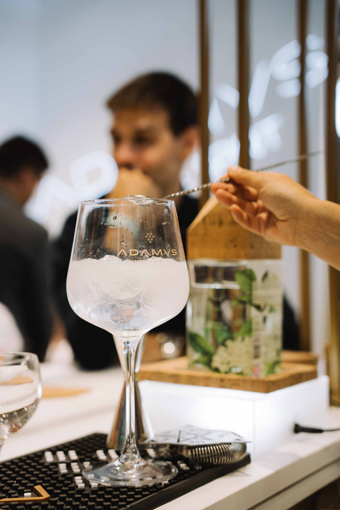 Ideal Tonics to Enhance the Flavor of Adamus Gin: Discover Perfect Combinations